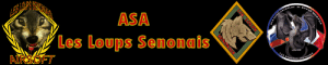 Logo Les Loups Sénonais