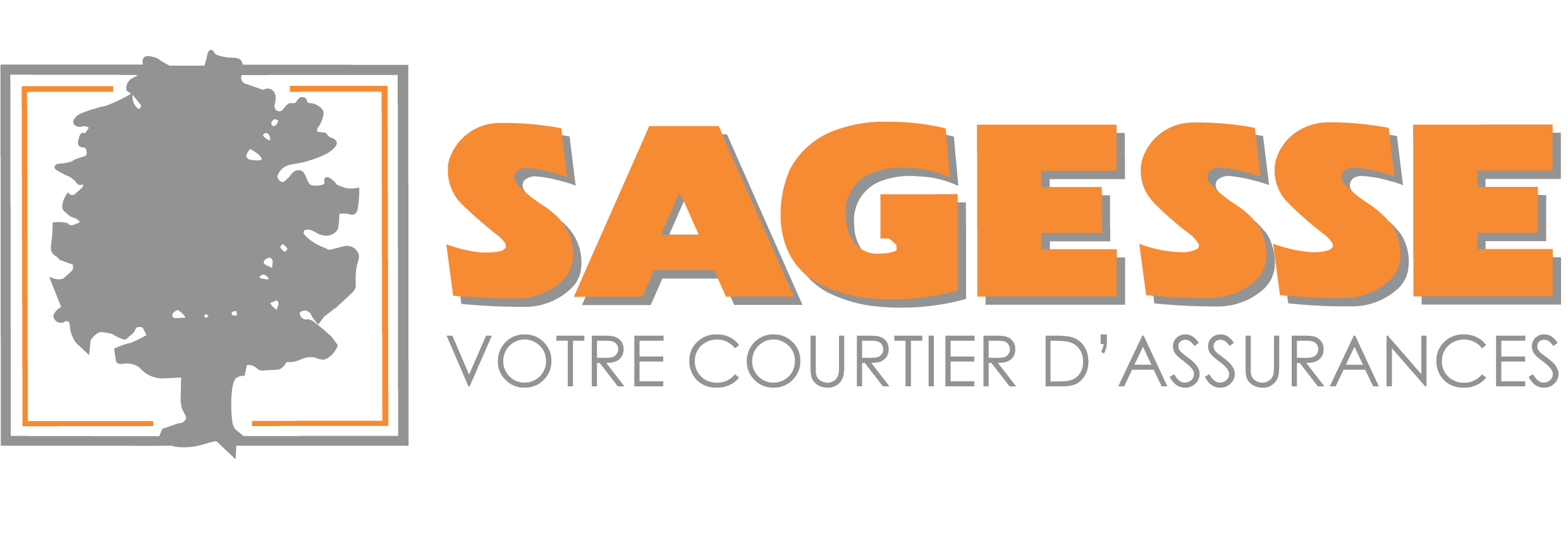 SAGESSE Assurances courtier Sens