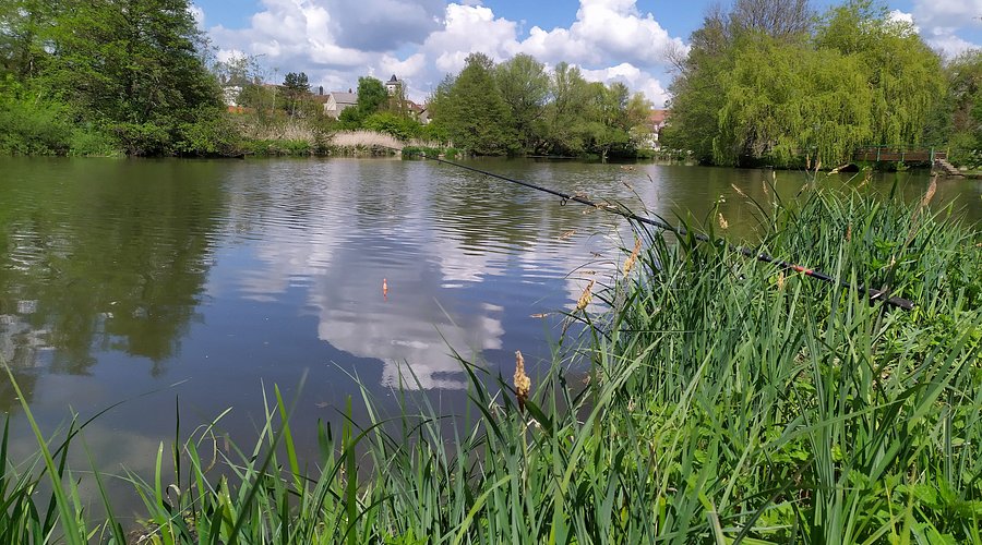 Logo Berges de l’Yonne